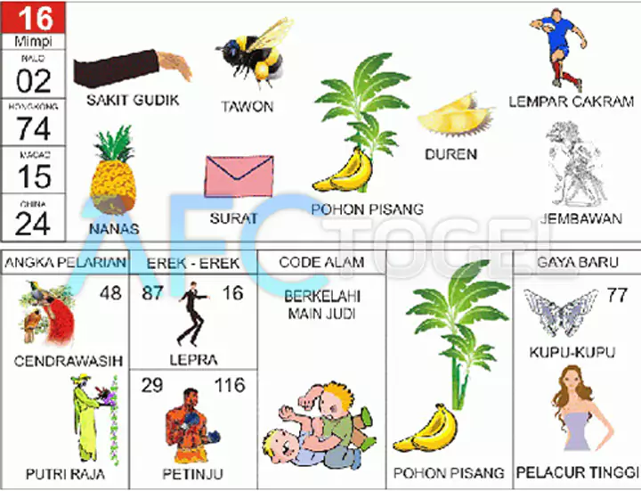 buku mimpi erek erek togel 16