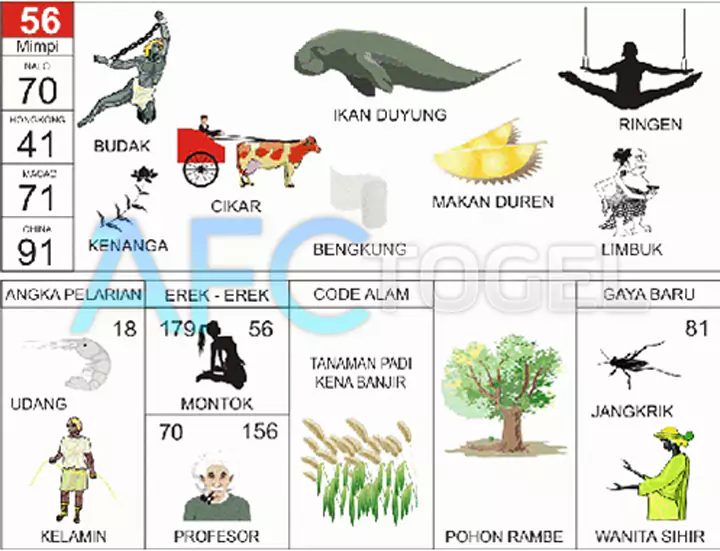 buku mimpi erek erek togel 56